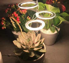 Load image into Gallery viewer, Grow Lights For Indoor Plants - Urban Glam Home